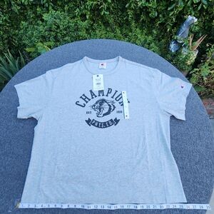 Champion Men's Gray Graphic Logo T-Shirt